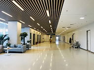 New Building Material 